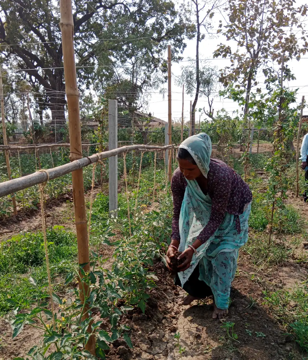 Biogas